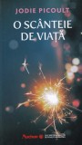Jodi Picoult - O scanteie de viata