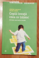 Copiii invata ceea ce traiesc de Dorothy Law Nolte, Rachel Harris foto