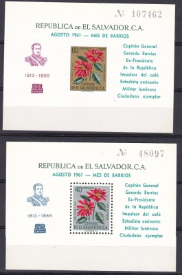 Salvador 1961 flori MI bl. 10, 11 MNH foto