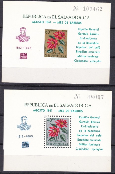 Salvador 1961 flori MI bl. 10, 11 MNH