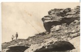 CPIB 22766 - CARTE POSTALA - MUNTII PARANG. PEISAJ LA RANCA