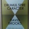 DRUMUL SPRE CARACTER de DAVID BROOKS , 2017