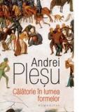 Calatorie in lumea formelor - Andrei Plesu