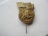 ROMANIA - INSIGNA FNTDR - Fed. Naţ. a Tineret. Dem. din Romania , IM 1.140