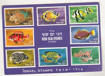 bnk cp Fauna marina - Pesti - lot 25 carti postale * foto