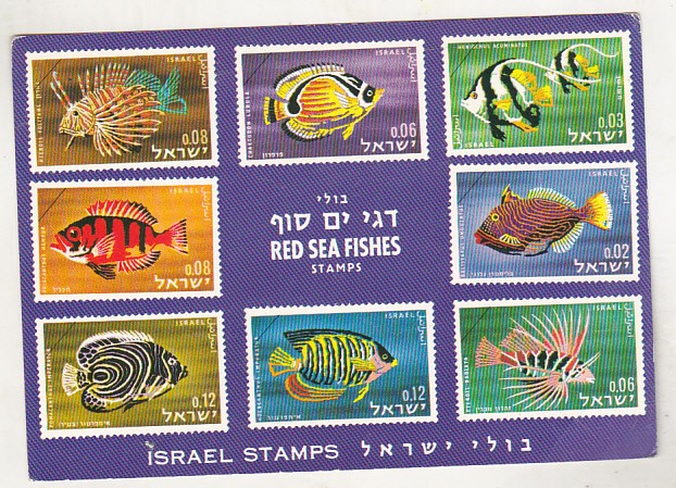 bnk cp Fauna marina - Pesti - lot 25 carti postale *