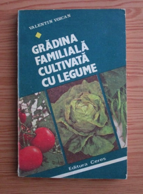 Valentin Voican - Gradina familiala cultivata cu legume foto