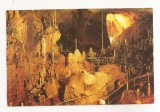 RF83 - Carte Postala - Pestera Ursilor - Chiscau, Jud Bihor, necirculata