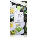 Ashleigh &amp; Burwood London Jasmine &amp; Tuberose parfum pentru dulap 15 g