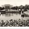 CPIB 15847 CARTE POSTALA - EFORIE SUD. VEDERE DIN PARC