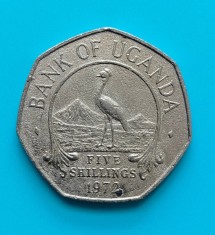 RARA! Moneda 5 shillings 1972 - Uganda, aproape tot tirajul a fost topit! foto