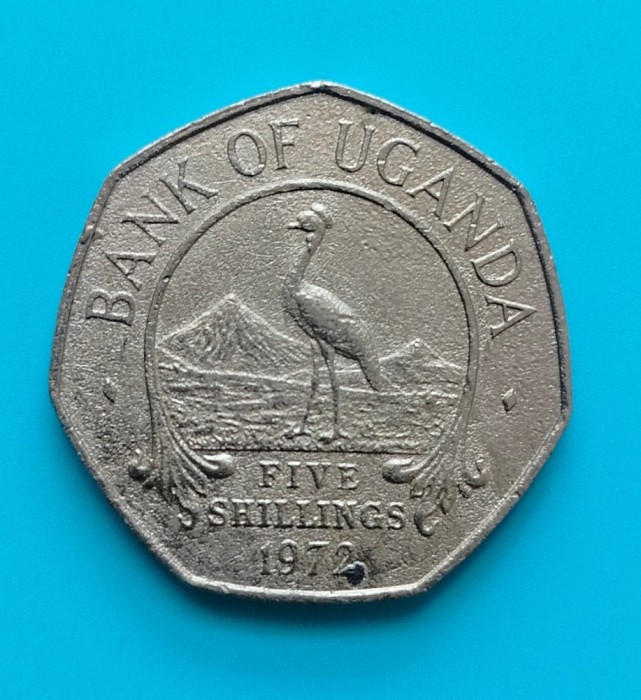 RARA! Moneda 5 shillings 1972 - Uganda, aproape tot tirajul a fost topit!