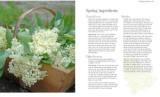 How to Make Your Own Drinks | Susy Atkins, Octopus Publishing Group