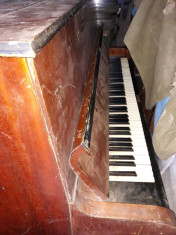 pianina foto