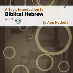 A Basic Introduction to Biblical Hebrew [With CDROM]