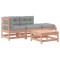Set mobilier de gradina cu perne, 4 piese, lemn masiv douglas