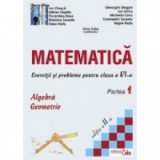 Matematica - exercitii si probleme pentru clasa a VI-a, partea I