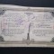 Actiune 1909 Soc. Petrolul / titlu / actiuni / petrol