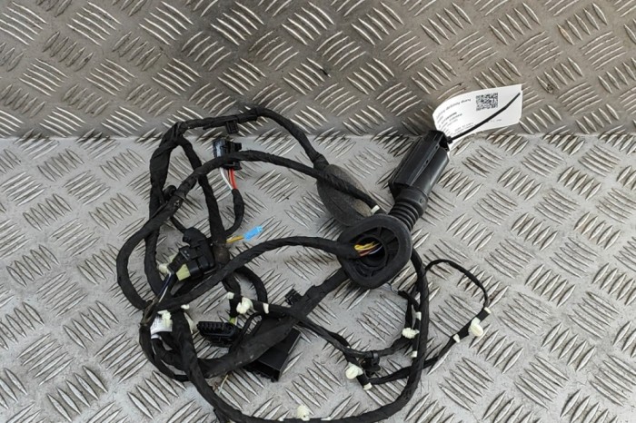 Cablaj ușă dreapta spate BMW X7 G07 2023 OEM: 5A47913 31089090