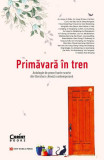 Primăvară &icirc;n tren - Paperback brosat - Mihaela Doagă - Corint