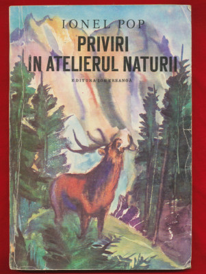 Ionel Pop &amp;quot;Priviri in atelierul naturii&amp;quot; 1982 foto