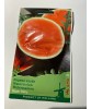 Seminte Pepene Verde Sugar Baby 2 g, Oem