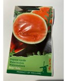 Seminte Pepene Verde Sugar Baby 2 g