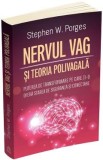 Nervul vag si teoria polivagala - Stephen W. Porges