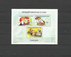 DR CONGO 2003 CIUPERCI foto