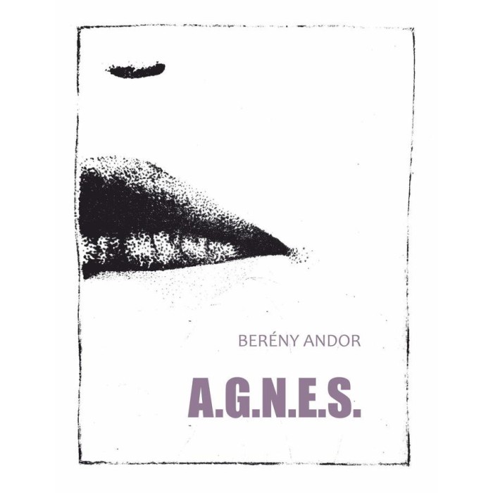 Versek &Aacute;ginak - Ber&eacute;ny Andor