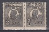 ROMANIA 1919/1922 LP 72 REGELE FERDINAND 3 BANI NEGRU BUST MARE HARTIE CARTON PERECHE EROARE PUNCT NEGRU SUB CIFRA 3 IN CUVANTUL BANI STARE MNH, Nestampilat