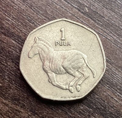 C50 - Moneda foarte veche - 1 pula - Botswana - 1991, Africa | Okazii.ro