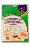 36 de jetoane - Oameni, animale, plante, fenomene ale naturii, elemente de igiena, anotimpuri (4 Ani+)