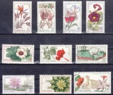 A11 TW 1 - 1965 - Gradina botanica - Cluj