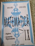 Marius Burtea - Matematica. Clasa a IX-a