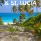 Fodor&#039;s Infocus Barbados &amp; St Lucia