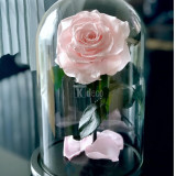 Cumpara ieftin Trandafir Criogenat mare roz pal &Oslash;9,5cm in cupola 17x28cm
