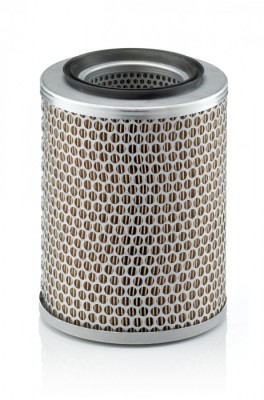Filtru Aer Mann-Filter C17134 foto