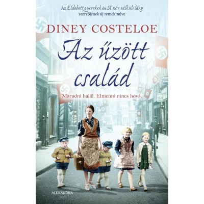Az űz&amp;ouml;tt csal&amp;aacute;d - Diney Costeloe foto