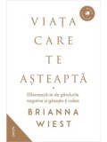 Cumpara ieftin Precomanda - Viata care te asteapta. Elibereaza-te de gandurile negative si gaseste-ti calea/Brianna Wiest