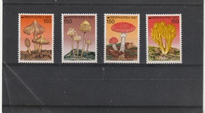 Ciuperci 1997,Coreea, foto