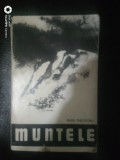 Muntele-Radu Theodoru