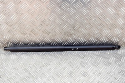 Amortizor haion dreapta TESLA MODEL Y 2022 OEM: 1500602-00-A 15130497 foto