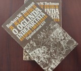 Cumpara ieftin O oglindă &icirc;ndepărtată - Urgisitul secol XIV - Barbara Tuchman 1988 doua volume