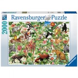Cumpara ieftin Puzzle Jungla, 2000 Piese, Ravensburger
