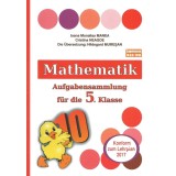 Mathematik Aufgabensammlung f&uuml;r die 5. Klasse