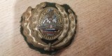 QW14 - Emblema militara / cuc - uscat - comunism - piesa de colectie