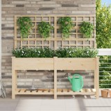 vidaXL Jardiniere cu raft și spalier, 161x43x152 cm, lemn masiv brad