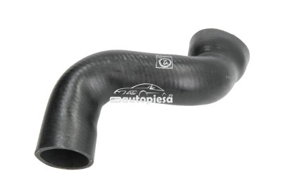 Furtun aer supraalimentare AUDI A4 Avant (8E5, B6) (2001 - 2004) THERMOTEC DCA032TT foto