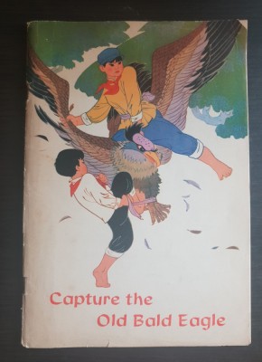 Capture the Old Bald Eagle foto